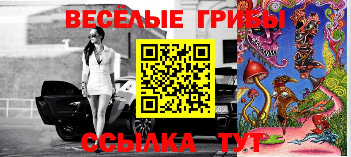Галлюциногенные грибы Magic Shrooms Бийск