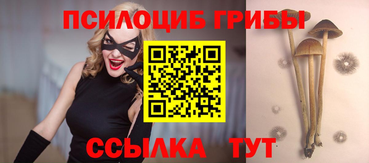 Галлюциногенные грибы MAGIC MUSHROOMS  Вход с VPN  даркнет сайт  Бийск  Галлюциногенные грибы Magic Shrooms 